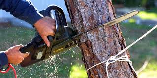 Best Soil Testing and Treatment  in Happy Valley, CA